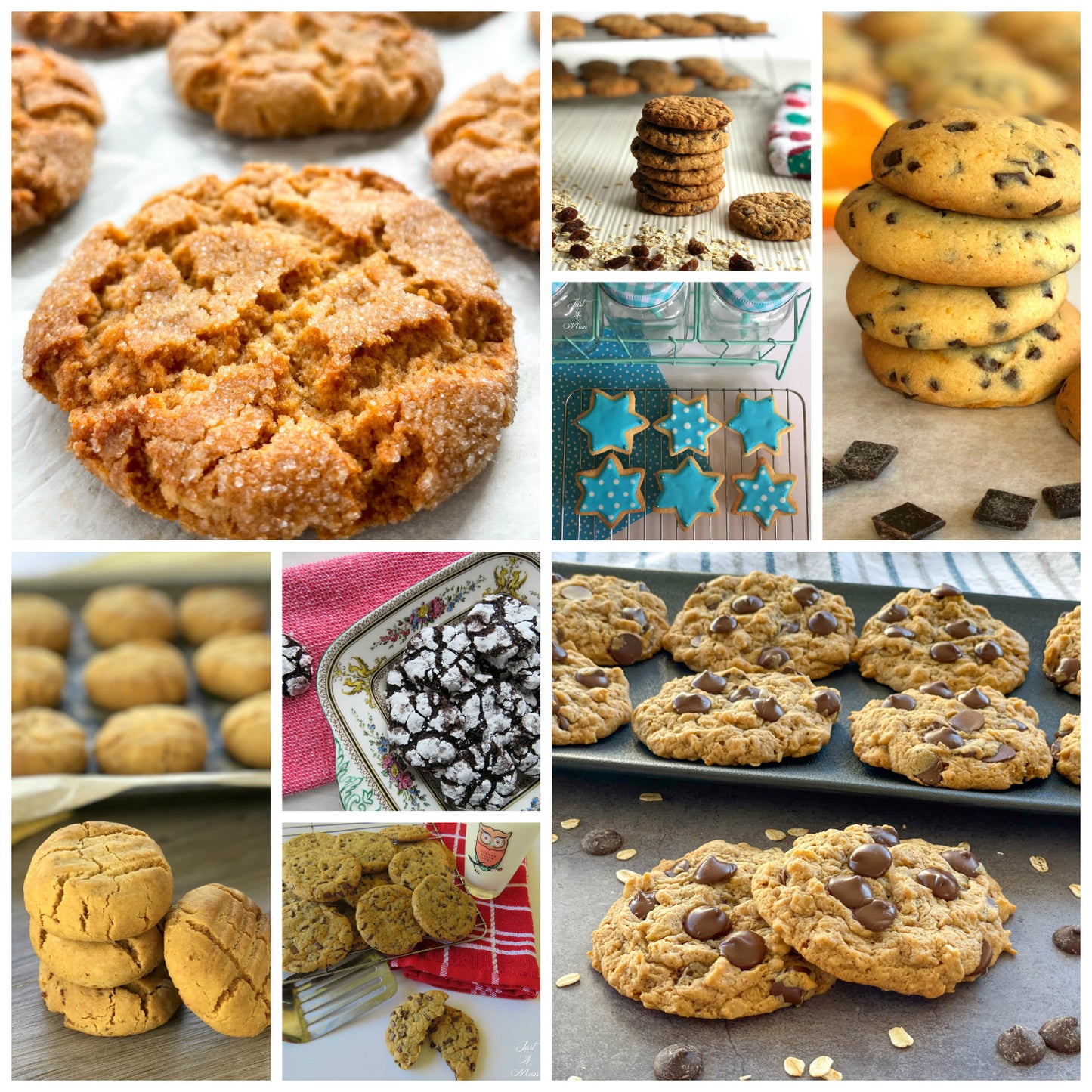 25 of the Best Biscuit & Cookie Recipes - eBook